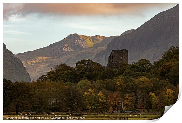Dolbararn Castle set in Snowdonia National Park Print by Jenny Hibbert