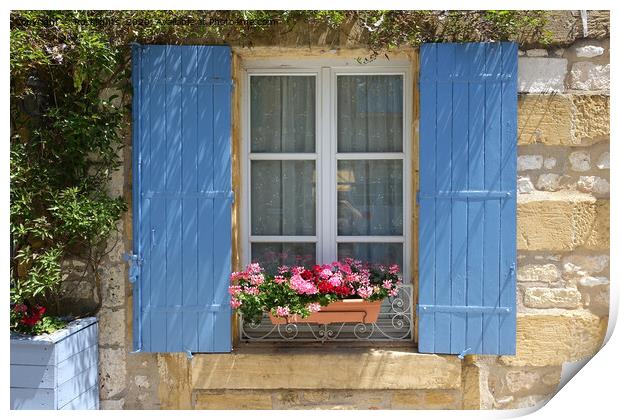 Window with blue shutters and window box of flowers Print by Rocklights 