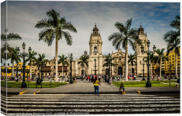 Cathedral of Lima  Canvas Print by Mary Machare