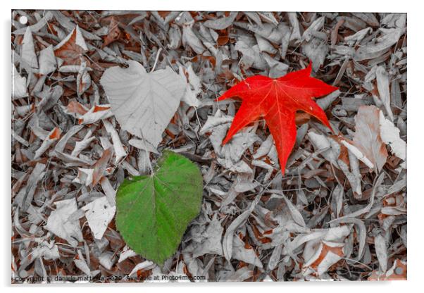 two leaves of red, and green on a carpet of dry le Acrylic by daniele mattioda