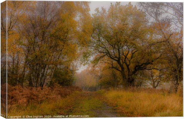 The mellow mists of autumn. Canvas Print by Clive Ingram
