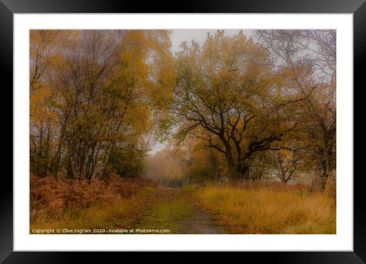 The mellow mists of autumn. Framed Mounted Print by Clive Ingram
