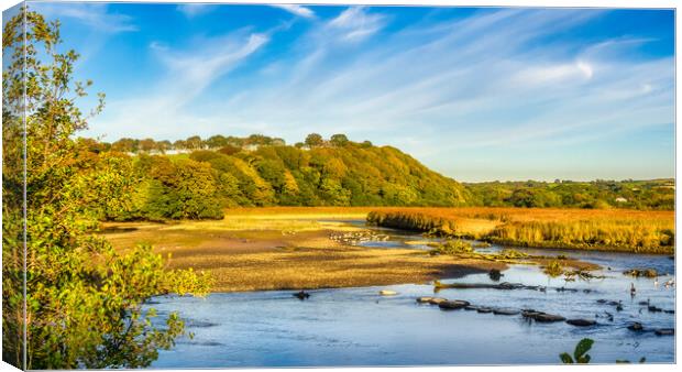 Newport Marshes, Pembrokeshire, Wales, UK Canvas Print by Mark Llewellyn