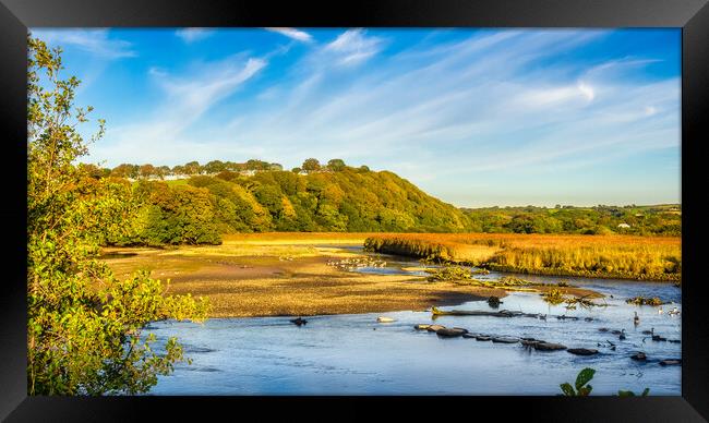 Newport Marshes, Pembrokeshire, Wales, UK Framed Print by Mark Llewellyn