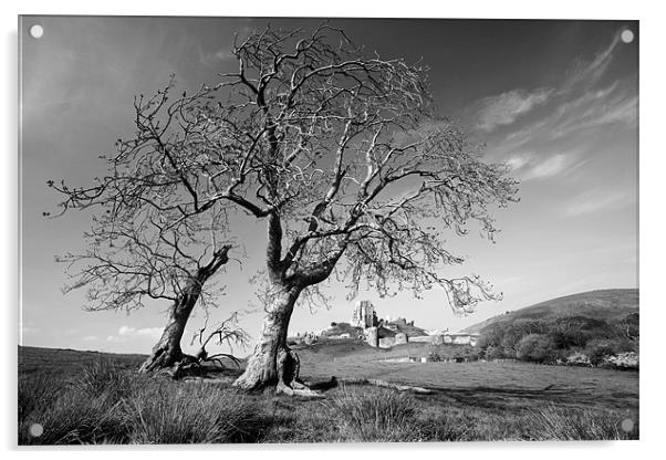 Corfe castle and trees Acrylic by Tony Bates