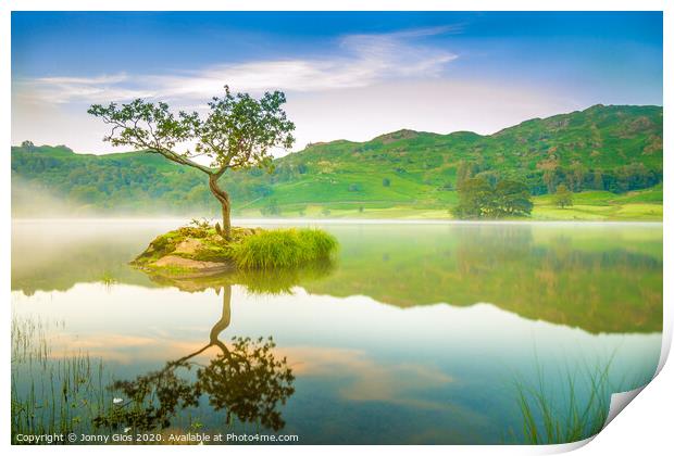 Lonely Tree  Print by Jonny Gios