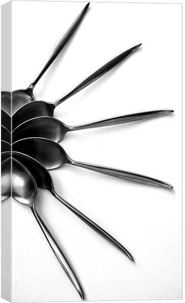 Spoons on White - Still Life Canvas Print by Victoria Limerick