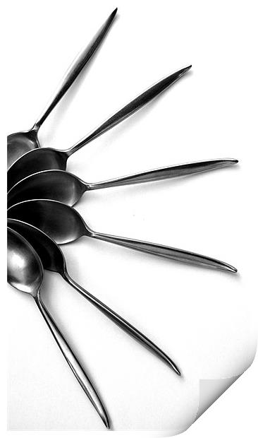Spoons on White - Still Life Print by Victoria Limerick