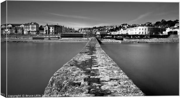 Dawlish from the pier Canvas Print by Bruce Little