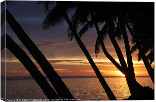Sunset through palm trees in Rarotonga Canvas Print by Robert MacDowall