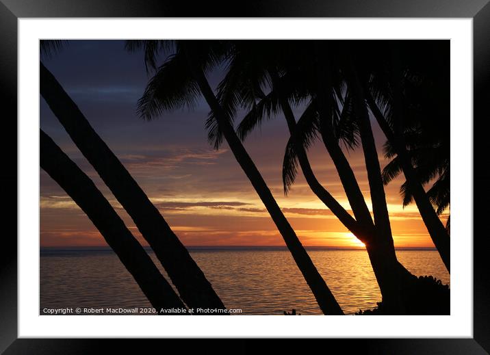 Sunset through palm trees in Rarotonga Framed Mounted Print by Robert MacDowall