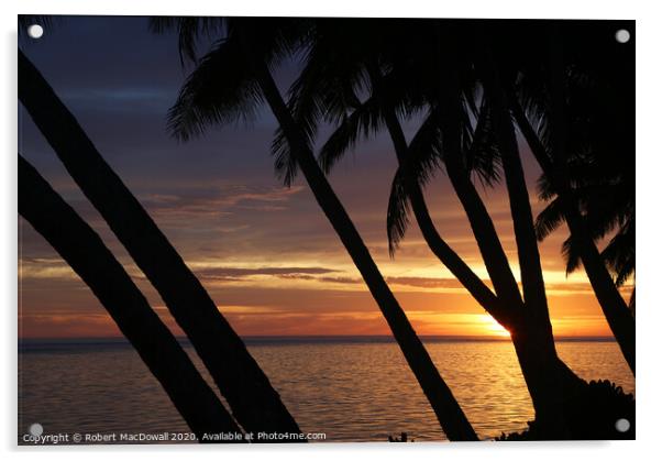 Sunset through palm trees in Rarotonga Acrylic by Robert MacDowall