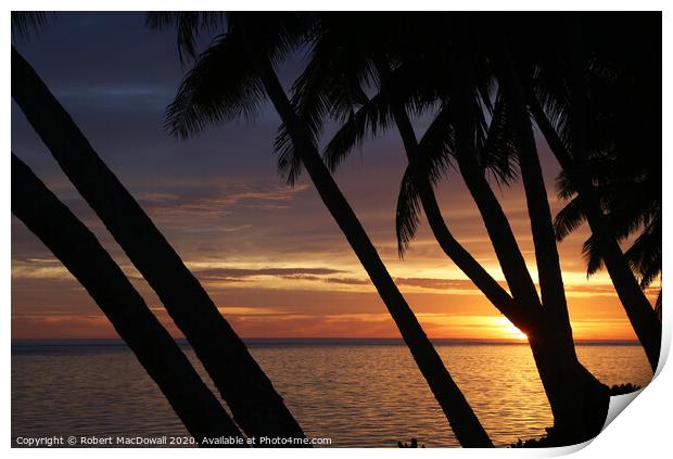 Sunset through palm trees in Rarotonga Print by Robert MacDowall