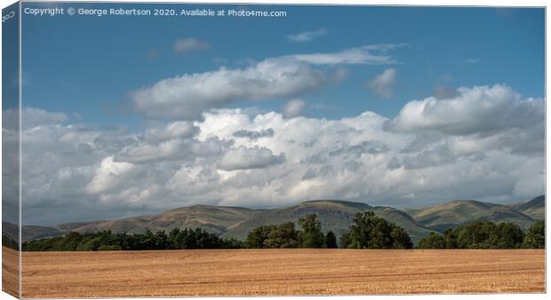 Lush farm lands in the Forth Valley Canvas Print by George Robertson