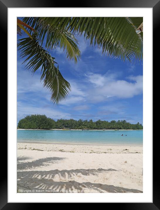 Koromiri Island, Rarotonga from Muri Beach with palm tree Framed Mounted Print by Robert MacDowall