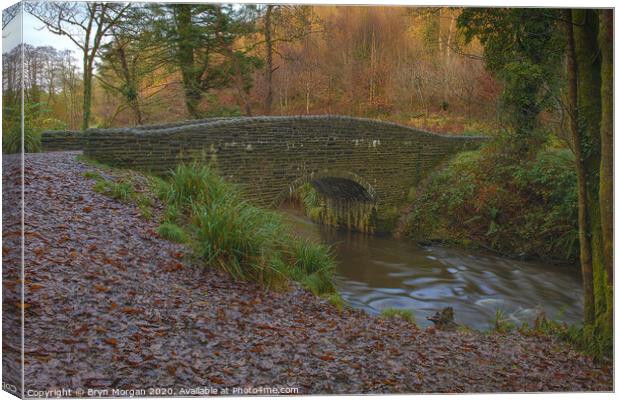 Small bridge at Penllergare valley woods Canvas Print by Bryn Morgan
