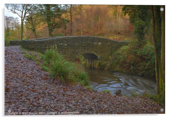 Small bridge at Penllergare valley woods Acrylic by Bryn Morgan