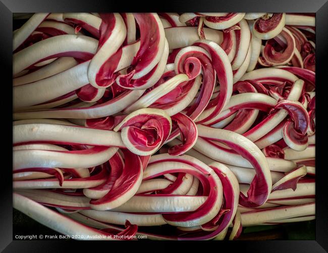 Red bitter chicory salad on a farmers market in Rome Framed Print by Frank Bach