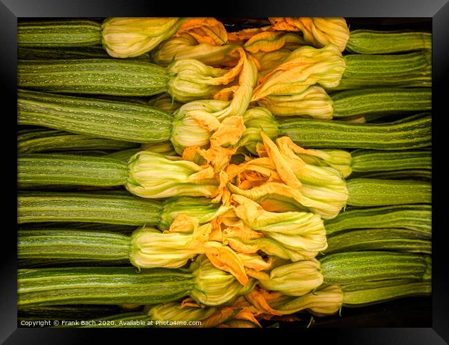 Zucchini with yellow flowers for sale on a farmers market, Rome Framed Print by Frank Bach