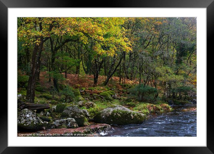 Dartmoor woodland in autumn Framed Mounted Print by Bruce Little