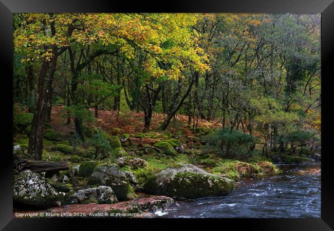 Dartmoor woodland in autumn Framed Print by Bruce Little