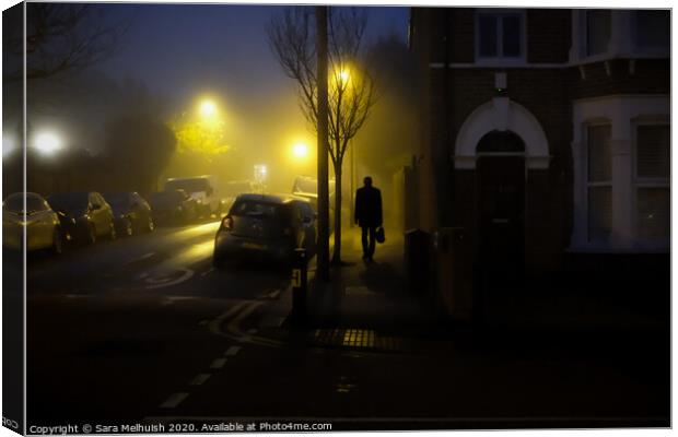 A walk in the fog at dawn Canvas Print by Sara Melhuish