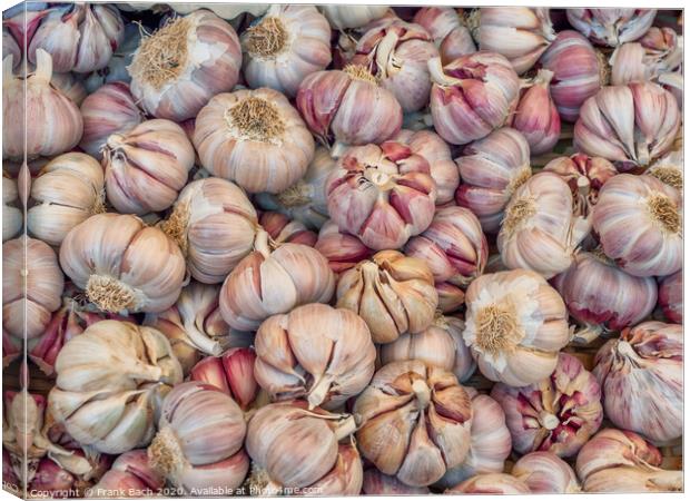 Garlic on a farmers market in Rome Canvas Print by Frank Bach