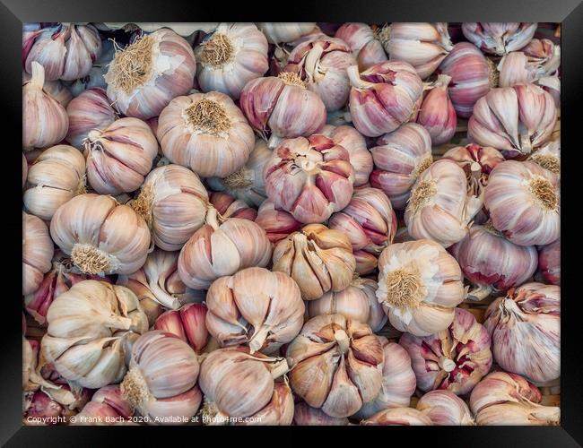 Garlic on a farmers market in Rome Framed Print by Frank Bach