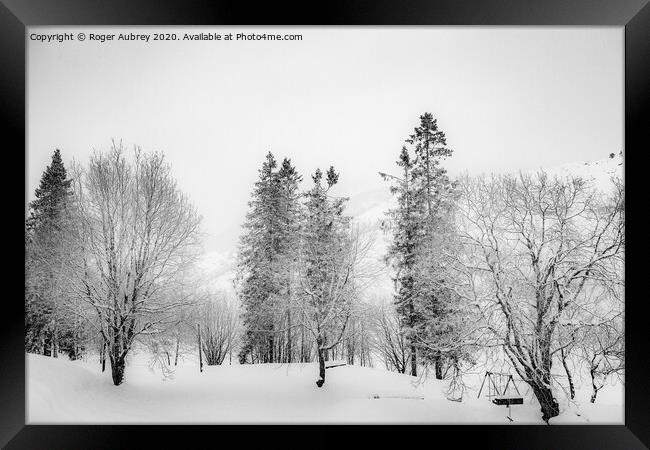 Snow covered trees, Norway Framed Print by Roger Aubrey