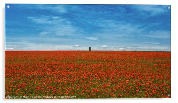Poppy Field  Acrylic by Matt Hill