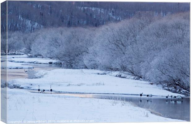 Red Crowned Cranes at dawn near Ottowa bridge Hokkaido Canvas Print by Jenny Hibbert
