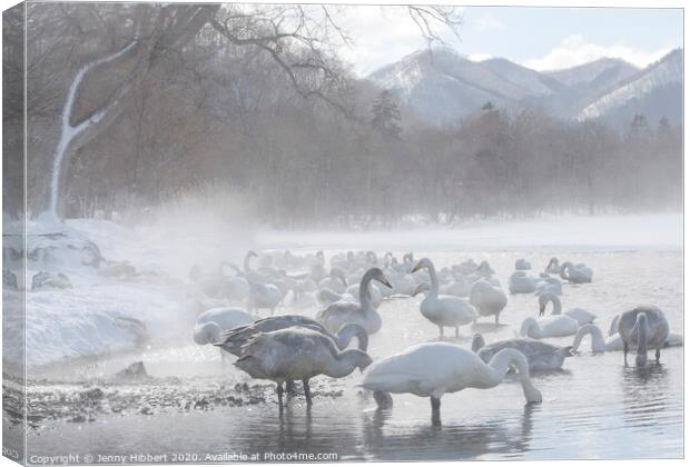 Whooper Swans gathered on lake Kussharo in snow storm Canvas Print by Jenny Hibbert
