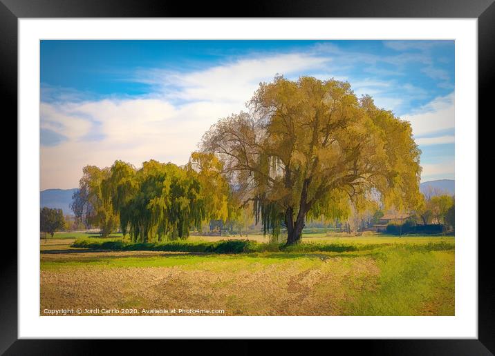 A fainted tree and an oak in the middle of the meadow. Framed Mounted Print by Jordi Carrio