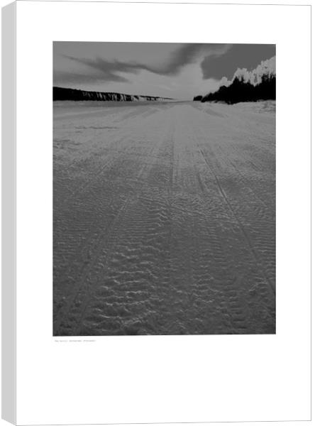  The Arctic (Rovaniemi [Finland]) Canvas Print by Michael Angus