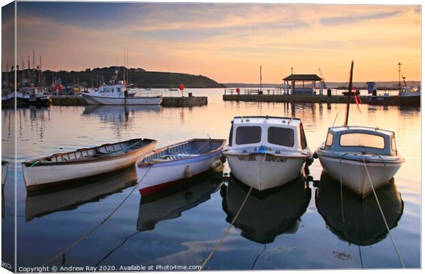 Custom House Quay (Falmouth) Canvas Print by Andrew Ray