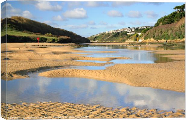 Gannel Estuary Canvas Print by Andrew Ray