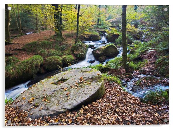 Autumn at Kennall Vale Acrylic by Andrew Ray