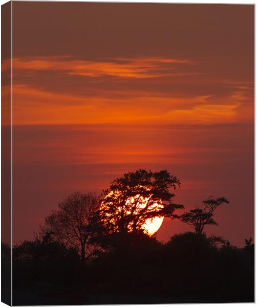 Crimson Sunset Canvas Print by Mike Gorton