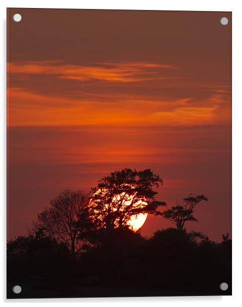 Crimson Sunset Acrylic by Mike Gorton
