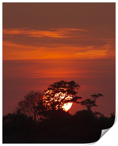 Crimson Sunset Print by Mike Gorton
