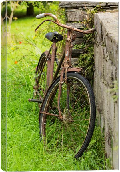 Rusty old bicycle, West Cork, Ireland Canvas Print by Phil Crean