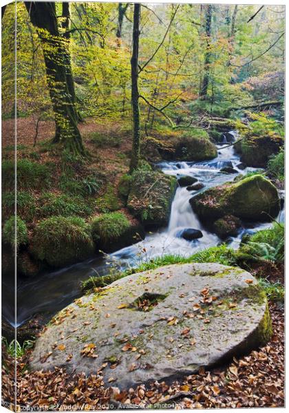Mill Stone (Kennall Vale) Canvas Print by Andrew Ray
