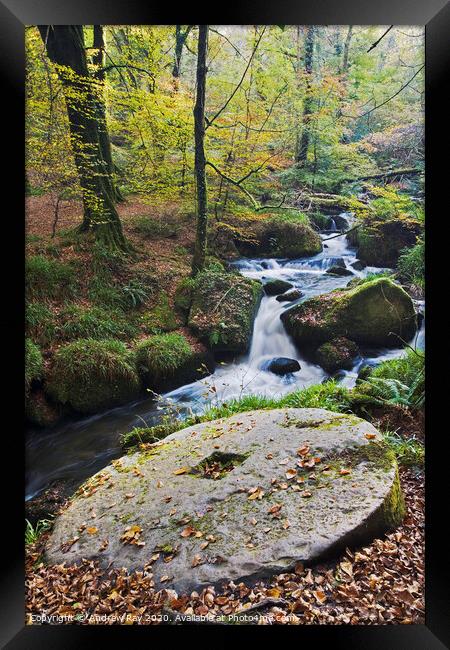 Mill Stone (Kennall Vale) Framed Print by Andrew Ray