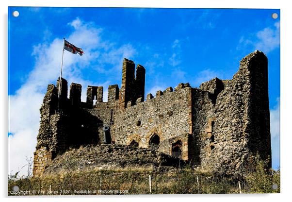 Dudley Castle Acrylic by Tim Jones