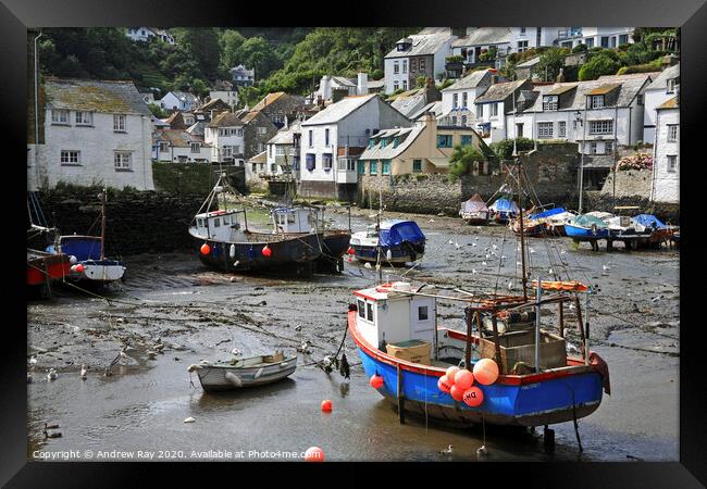 Boats at Polperro Framed Print by Andrew Ray