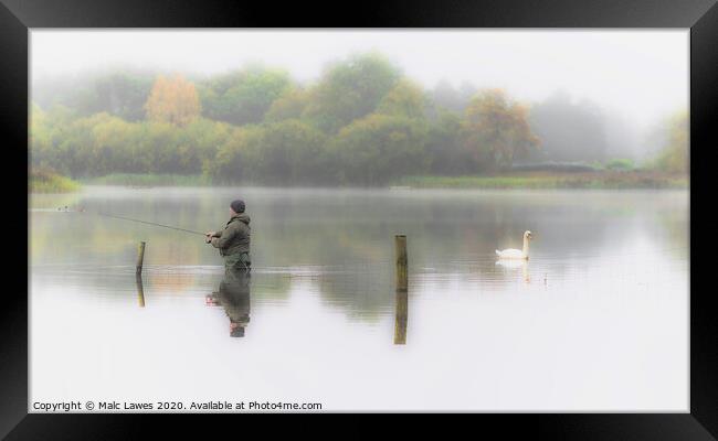 The Swan and the Fisherman  Framed Print by Malc Lawes