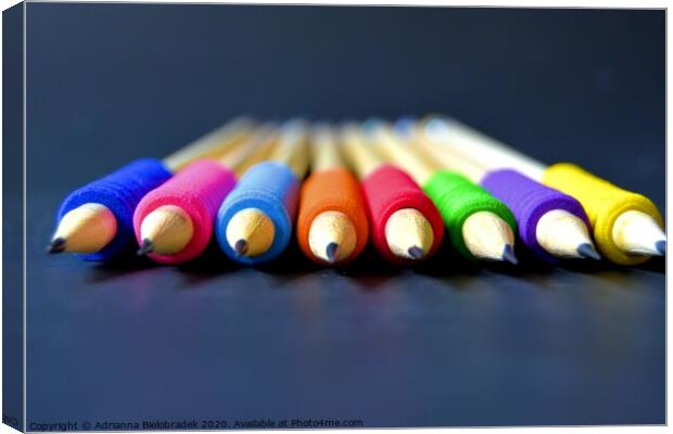 Colorful pencils Canvas Print by Adrianna Bielobradek