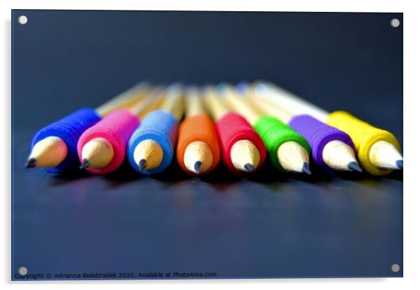 Colorful pencils Acrylic by Adrianna Bielobradek