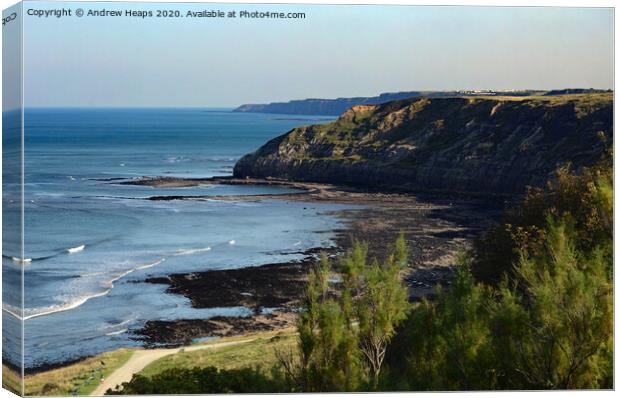 Scarborough to Filey coastline Canvas Print by Andrew Heaps