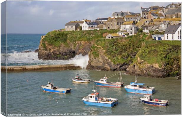 Port Isaac Canvas Print by Andrew Ray